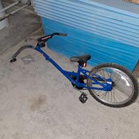 bici rimorchio