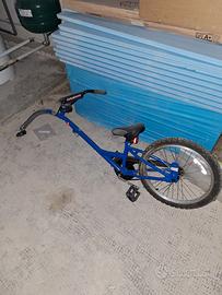 bici rimorchio
