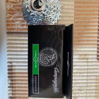 Pacco pignoni Campagnolo veloce 13-29