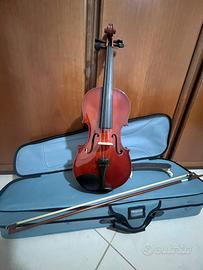 Violino