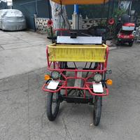 Risciò con pedalata assistita