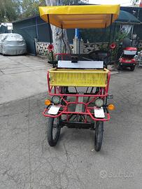 Risciò con pedalata assistita