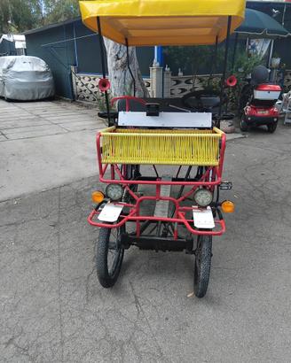 Risciò con pedalata assistita