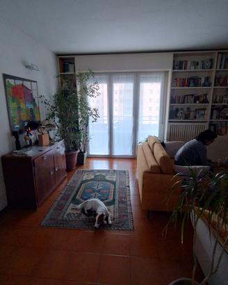 camera singola bene arredata 