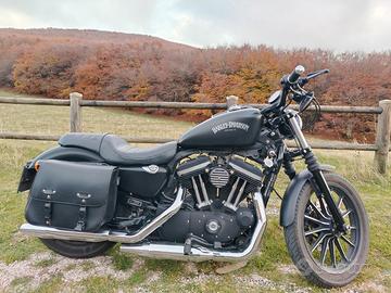 Harley-Davidson Sportster 883 - 2013