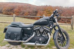 Harley-Davidson Sportster 883 - 2013