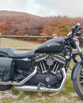 Harley-Davidson Sportster iron 883 - 2013