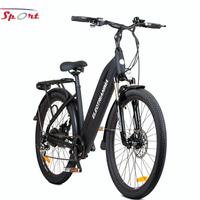 Bici elettrica Electrianima 250W 36V Nera