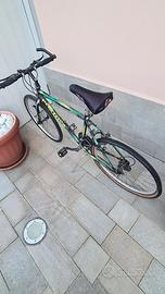 Bici MTB