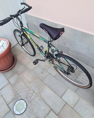 Bici MTB