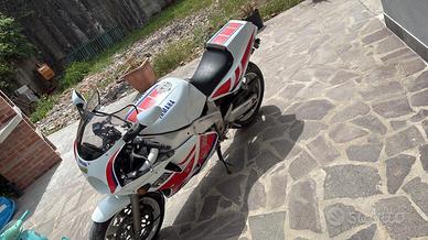 Yamaha fzr genesis 1000