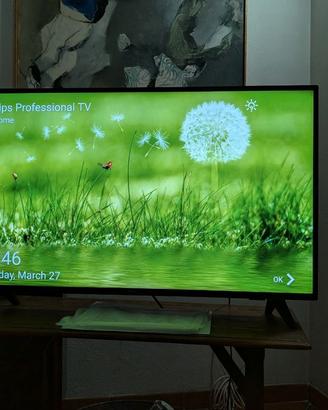 TV Philips 43" Full HD 