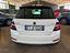 Immagine 6