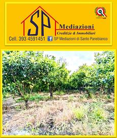 Terreno Recintato Panoramico