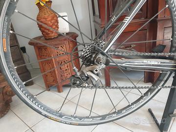 bicicletta da corsa basso astra