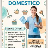 Collaboratrice domestica 