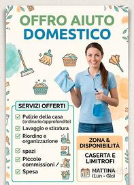 Collaboratrice domestica 
