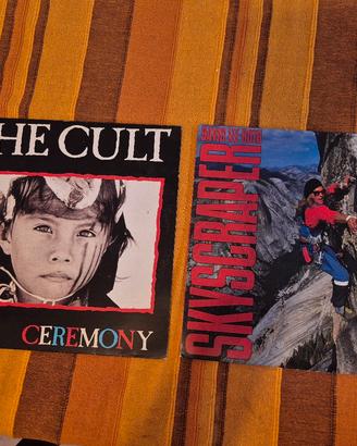  The Cult e David Lee Roth - dischi vinile LP