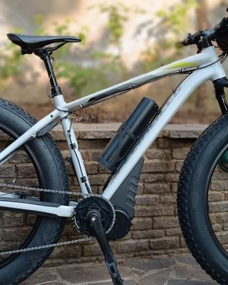 SPECIALIZED FAT BOY