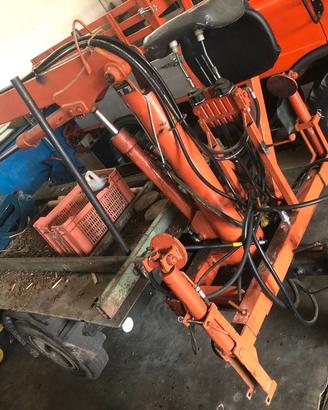 Rimorchio forestale con gru per legna ribaltabile