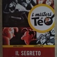 Il segreto del labirinto - I misteri di Teo