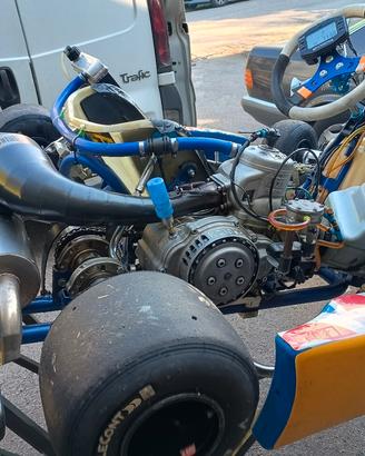 kart 125 kz tm