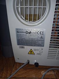 Climatizzatori portatili