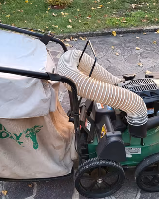 Aspirafoglie Billy Goat KV601SP