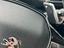 Immagine 23