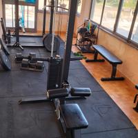  Lat Machine Lacertosus