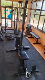  Lat Machine Lacertosus