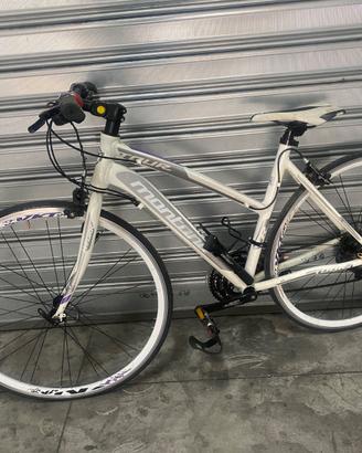 Bicicletta montana
