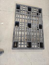 Pallet di plastica
