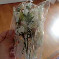 scatoline matrimonio 