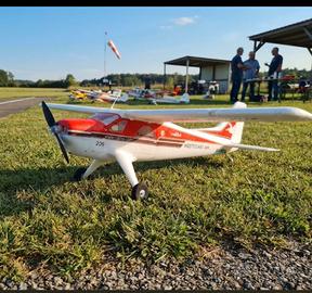 Aereo modello radiocomandato Robbe  DHC2 Beaver