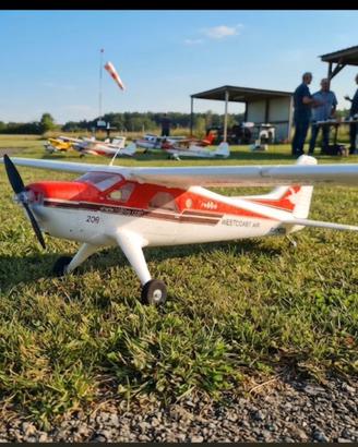 Aereo modello radiocomandato Robbe  DHC2 Beaver