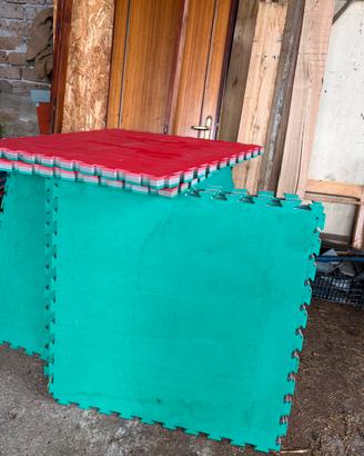Tatami judo