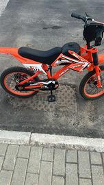 Bici 16