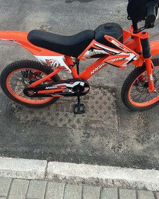 Bici 16