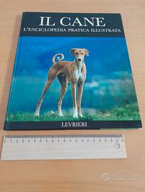 Libro enciclopedia illustrata 'Il Cane, Levrieri'