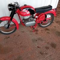 Altro Altro modello - 1954 BIANCHI MENDOLA