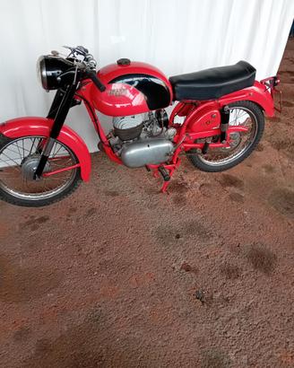 Altro Altro modello - 1954 BIANCHI MENDOLA