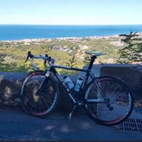 Ruote fsa in carbonio