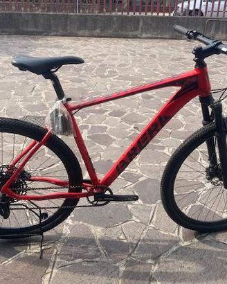 MTB OVERDRIVER 1x12 velocita'