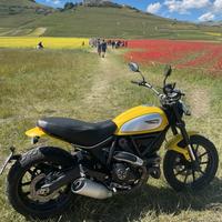 Ducati Scrambler 800 Icon