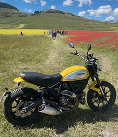 Ducati Scrambler 800 Icon