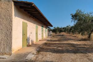 Terreno edificabile con uliveto