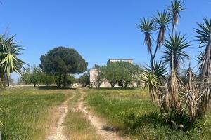 Masseria antica