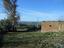 Immagine 11