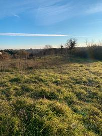 Appezzamento di terra